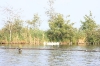 NIEUWKOOP 09-2008 192.JPG